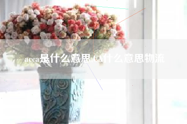 acca是什么意思,CA什么意思物流