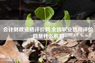 会计财政资格评价网,全国职业信用评价网是什么机构