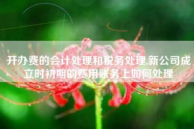 开办费的会计处理和税务处理,新公司成立时初期的费用账务上如何处理