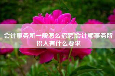 会计事务所一般怎么招聘,会计师事务所招人有什么要求