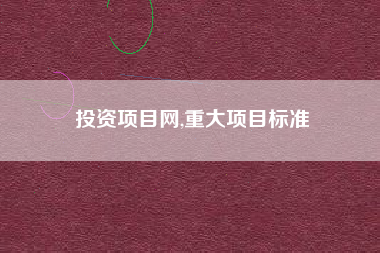 投资项目网,重大项目标准