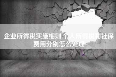 企业所得税实施细则,个人所得税和社保费用分别怎么处理