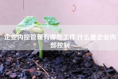 企业内控管理有哪些工作,什么是企业内部控制