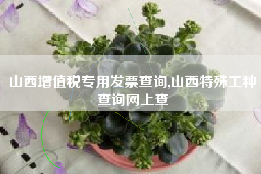 山西增值税专用发票查询,山西特殊工种查询网上查