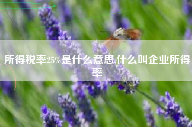 所得税率25%是什么意思,什么叫企业所得率