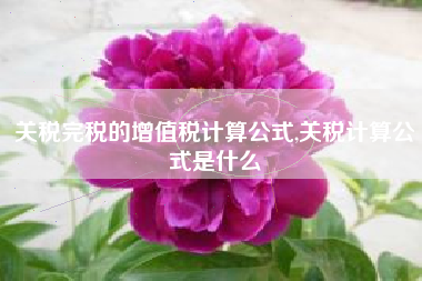 关税完税的增值税计算公式,关税计算公式是什么