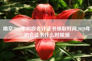 南京2020年初级会计证书领取时间,2020年初会证书什么时候领