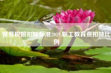 餐费税前扣除标准2019,职工教育费扣除比例
