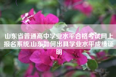 山东省普通高中学业水平合格考试网上报名系统,山东如何出具学业水平成绩证明