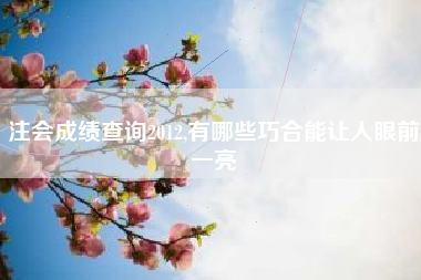 注会成绩查询2012,有哪些巧合能让人眼前一亮