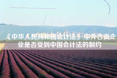 《中华人民共和国会计法》,中外合资企业是否受到中国会计法的制约