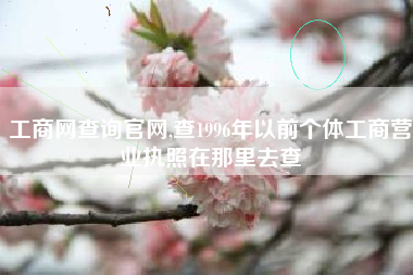 工商网查询官网,查1996年以前个体工商营业执照在那里去查
