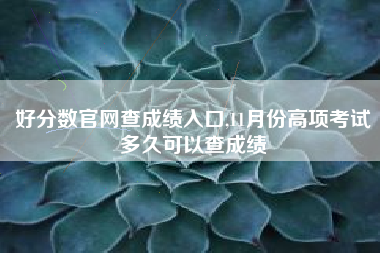 好分数官网查成绩入口,11月份高项考试多久可以查成绩