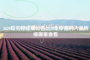 2020税务师成绩公告,2020年申报的人员明细哪里查看