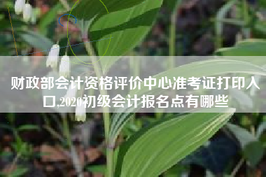 财政部会计资格评价中心准考证打印入口,2020初级会计报名点有哪些
