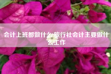 会计上班都做什么,旅行社会计主要做什么工作