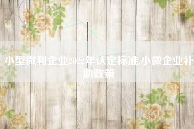 小型微利企业2022年认定标准,小微企业补助政策