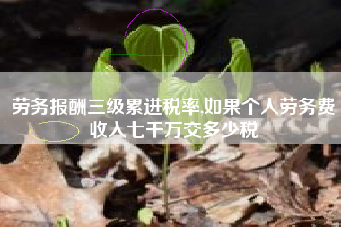 劳务报酬三级累进税率,如果个人劳务费收入七干万交多少税
