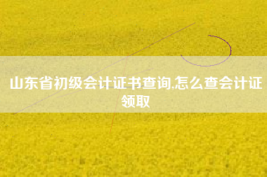 山东省初级会计证书查询,怎么查会计证领取
