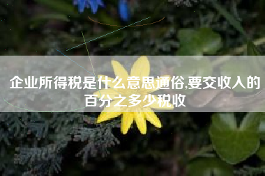 企业所得税是什么意思通俗,要交收入的百分之多少税收