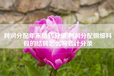 利润分配年末结转分录,利润分配明细科目的结转怎么写会计分录