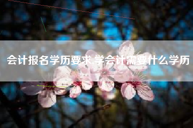 会计报名学历要求,学会计需要什么学历