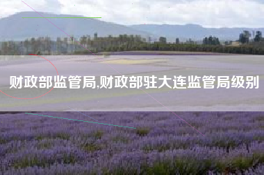 财政部监管局,财政部驻大连监管局级别