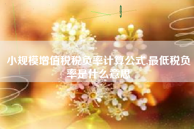 小规模增值税税负率计算公式,最低税负率是什么意思