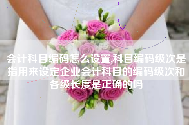 会计科目编码怎么设置,科目编码级次是指用来设定企业会计科目的编码级次和各级长度是正确的吗