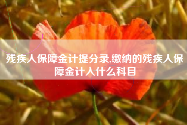 残疾人保障金计提分录,缴纳的残疾人保障金计入什么科目