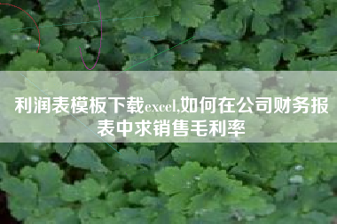 利润表模板下载excel,如何在公司财务报表中求销售毛利率
