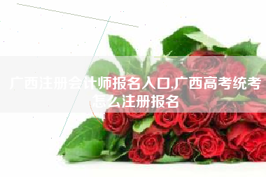 广西注册会计师报名入口,广西高考统考怎么注册报名