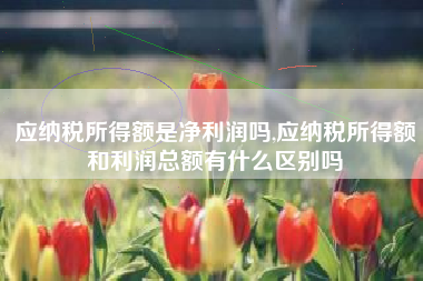 应纳税所得额是净利润吗,应纳税所得额和利润总额有什么区别吗