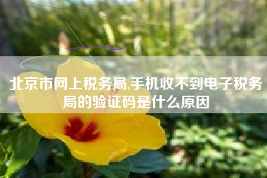 北京市网上税务局,手机收不到电子税务局的验证码是什么原因