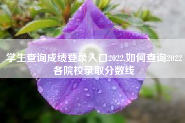 学生查询成绩登录入口2022,如何查询2022各院校录取分数线