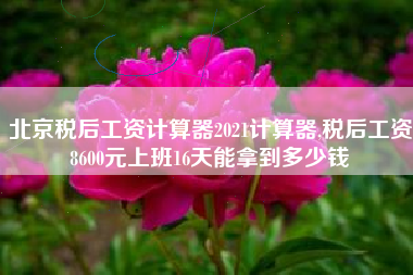 北京税后工资计算器2021计算器,税后工资8600元上班16天能拿到多少钱