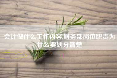 会计做什么工作内容,财务部岗位职责为什么要划分清楚