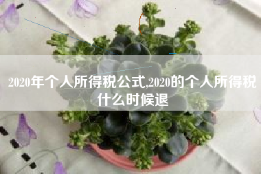 2020年个人所得税公式,2020的个人所得税什么时候退