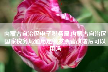 内蒙古自治区电子税务局,内蒙古自治区国家税务局通用定额发票营改增后可以用吗