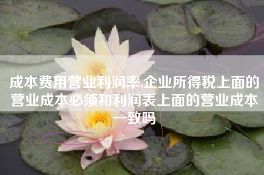 成本费用营业利润率,企业所得税上面的营业成本必须和利润表上面的营业成本一致吗