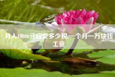 月入10000元应交多少税,一个月一万块钱工资