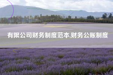 有限公司财务制度范本,财务公账制度