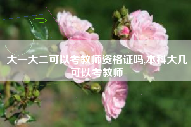 大一大二可以考教师资格证吗,本科大几可以考教师