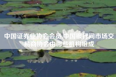 中国证券业协会会员,中国银行间市场交易商协会由哪些机构组成