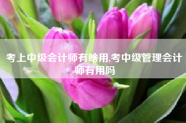 考上中级会计师有啥用,考中级管理会计师有用吗