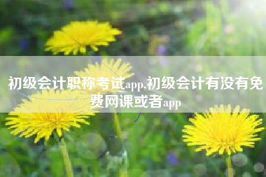 初级会计职称考试app,初级会计有没有免费网课或者app