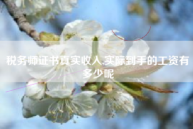 税务师证书真实收入,实际到手的工资有多少呢