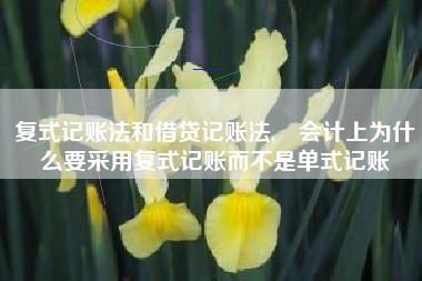 复式记账法和借贷记账法,‎会计上为什么要采用复式记账而不是单式记账