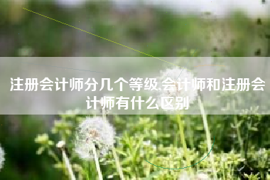 注册会计师分几个等级,会计师和注册会计师有什么区别