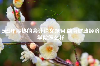 2022年最热的会计论文题目,湖南财政经济学院怎么样